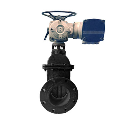 Cast Iron Valve